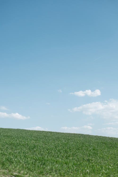 Darmowe zdjęcie z galerii z błękitne niebo, gleba, gospodarstwo