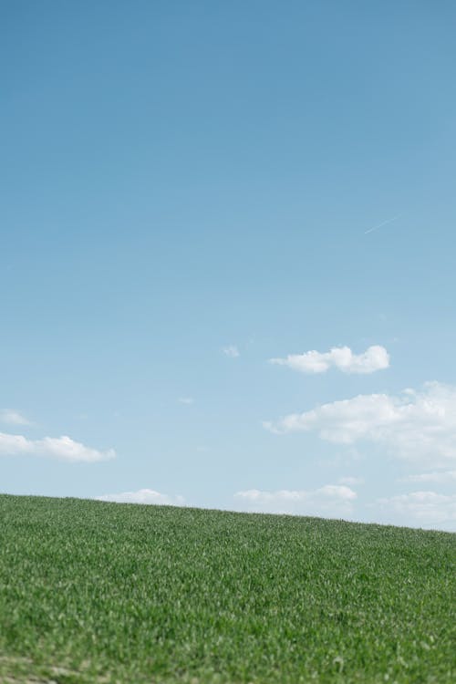 Základová fotografie zdarma na téma farma, hřiště, krajina