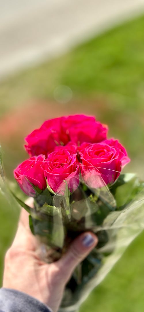 Fotos de stock gratuitas de amor, flores, fondo