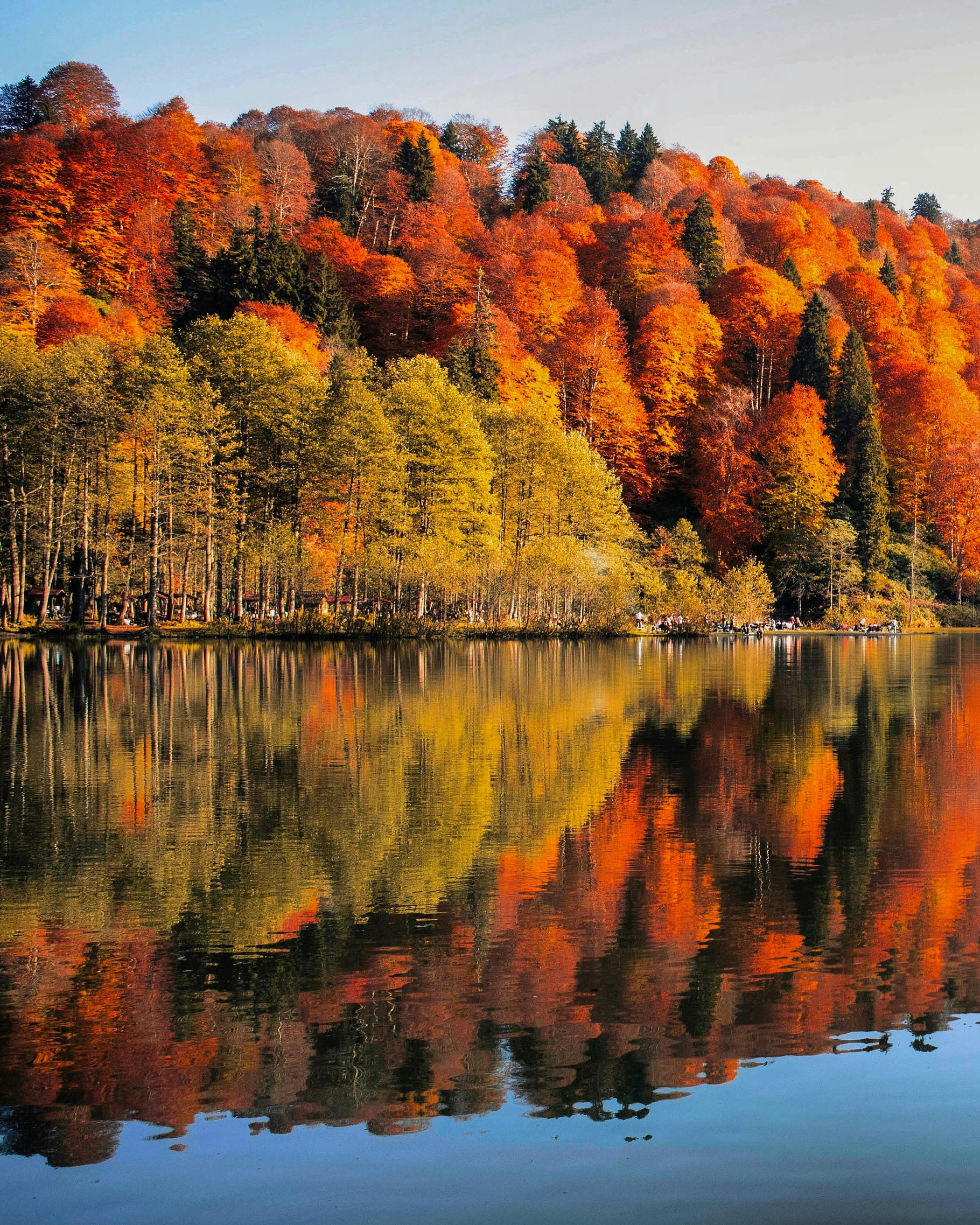 Captivating autumn colors mirrored in the tranquil waters of Shavşat Lake in Artvin, Türkiye.