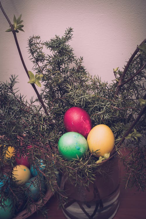 Free stock photo of bank holiday, celebration, chicken eggs