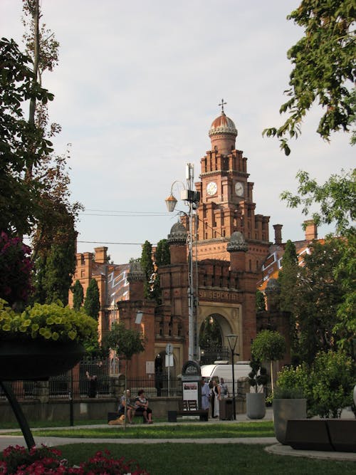 Foto profissional grátis de árvores, chernivtsi, cidade