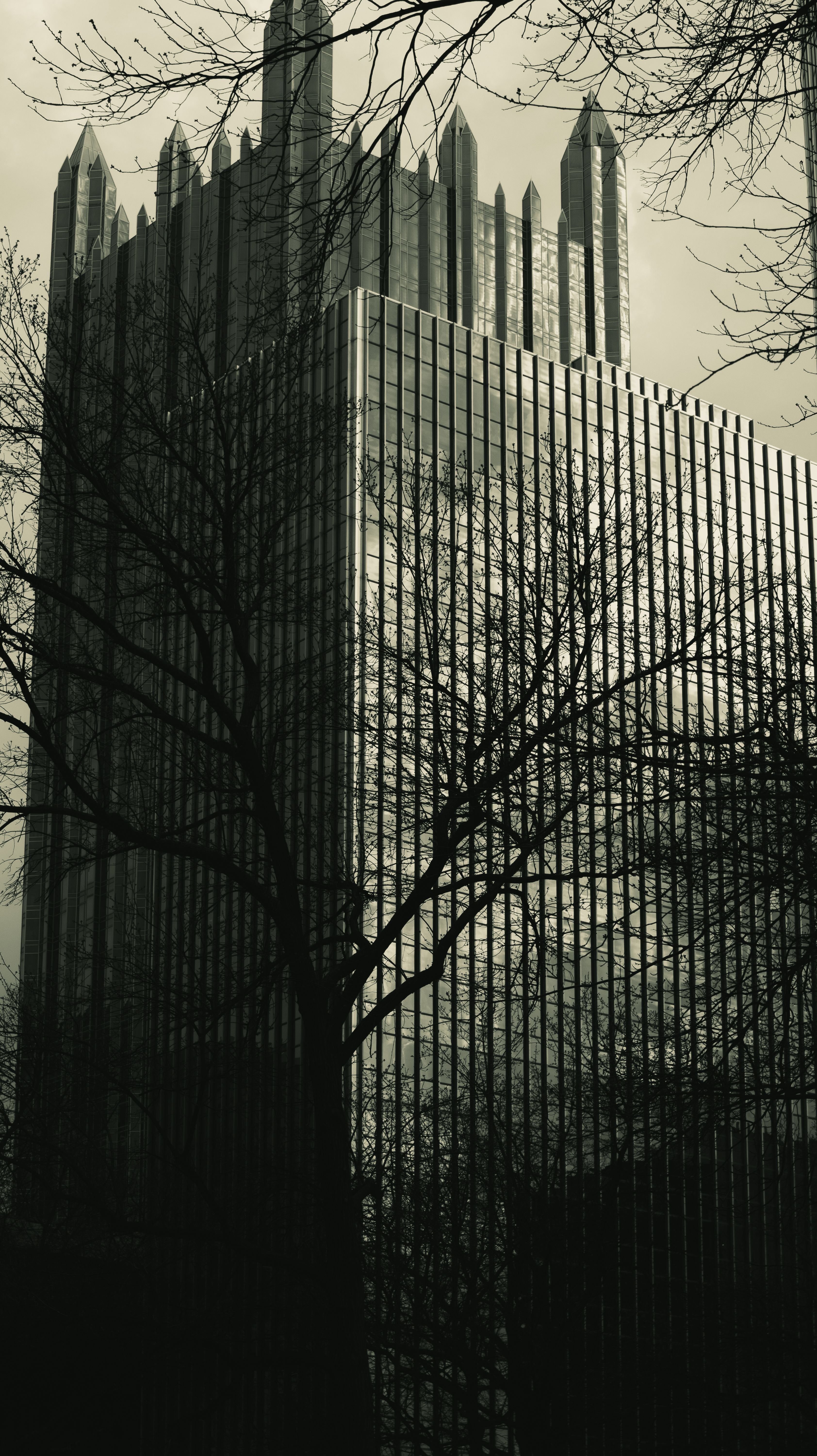 Dramatic black and white view of PPG Place skyscraper in Pittsburgh surrounded by bare trees.
