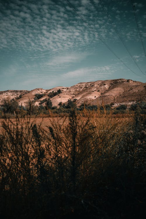 Foto d'estoc gratuïta de àrid, camp, muntanyes