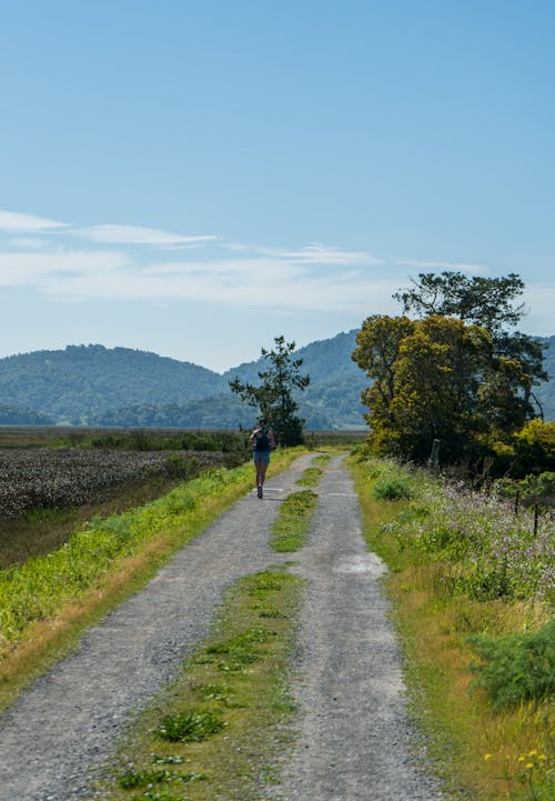 A person walking down a dirt road in the middle of a field