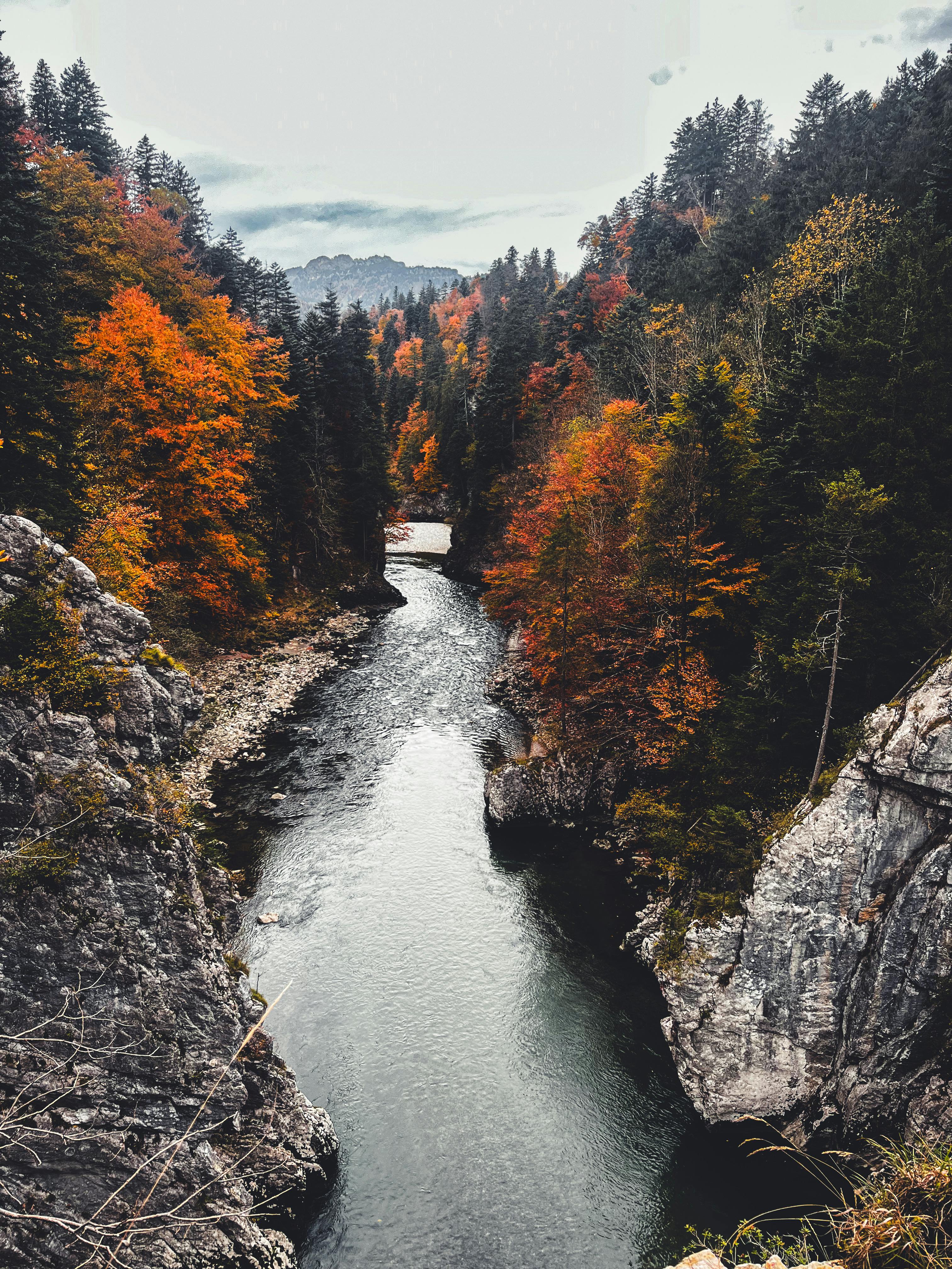 Toamnă spectaculoasă în Defileul Jiului.