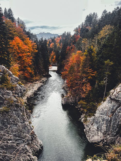 Photos gratuites de automne, étendue sauvage, fleuve