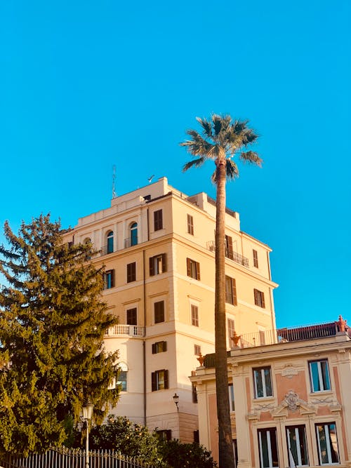 A tall building with a palm tree in front of it
