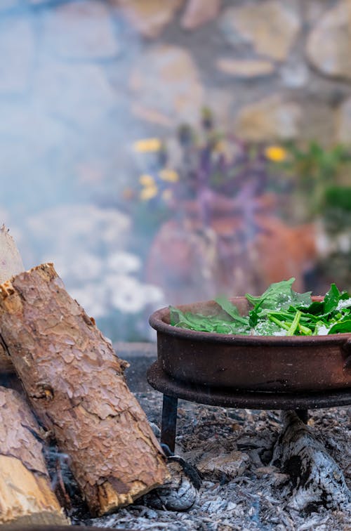 A pot of food on a fire with a log