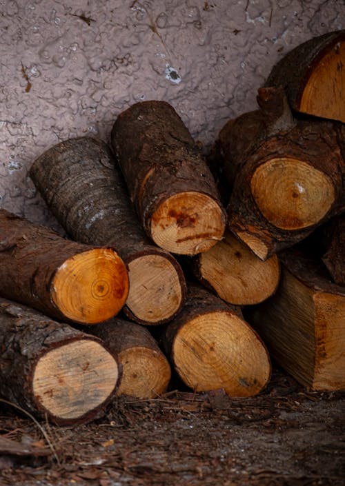 A pile of logs sitting on a wall