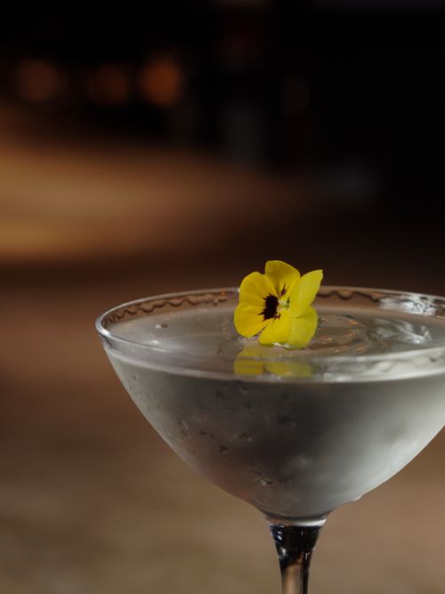 Free A close-up of a cocktail glass with a pansy garnish on a blurred background, perfect for bar ambiance. Stock Photo