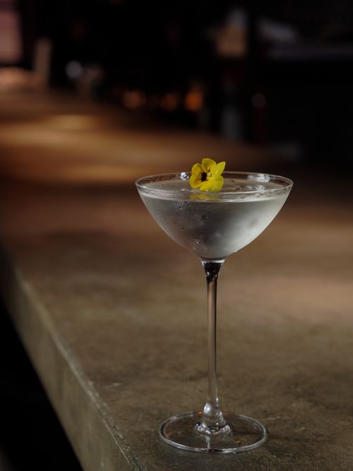 Free A sophisticated cocktail garnished with a yellow blossom, set on a dimly lit bar counter. Stock Photo