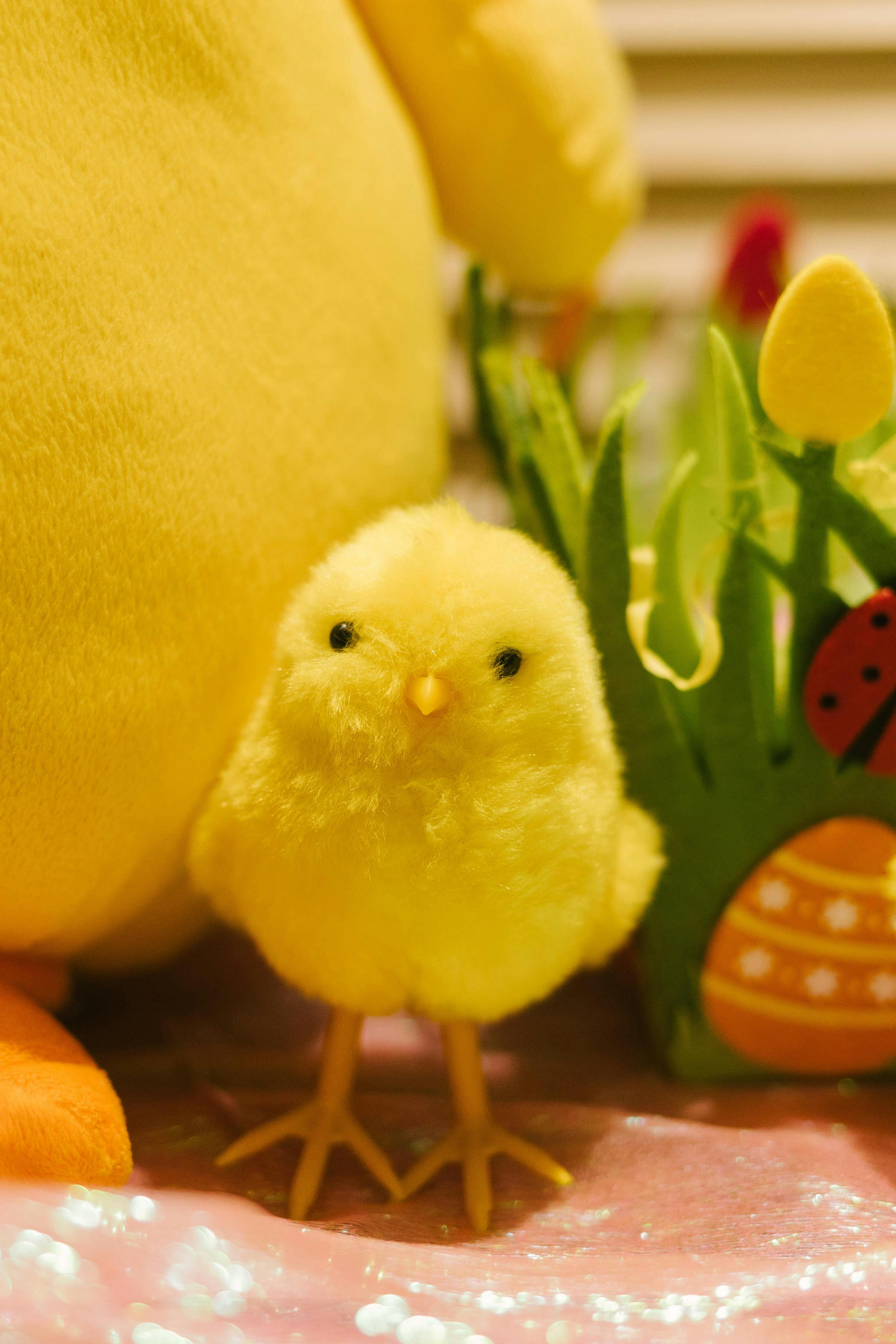 Cute yellow chick figurine as Easter decoration with colorful background.
