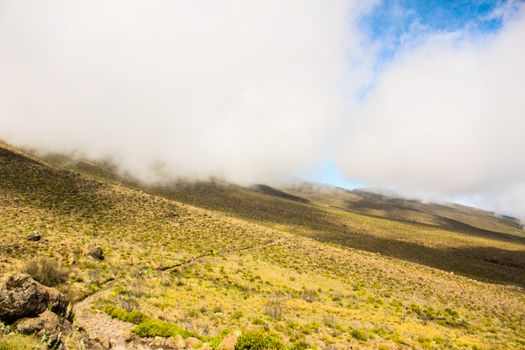 Mweka descent — Kilimanjaro
