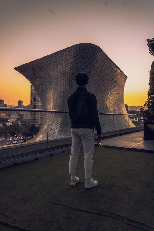 Foto profissional grátis de cair da noite, cidade do méxico, de pé