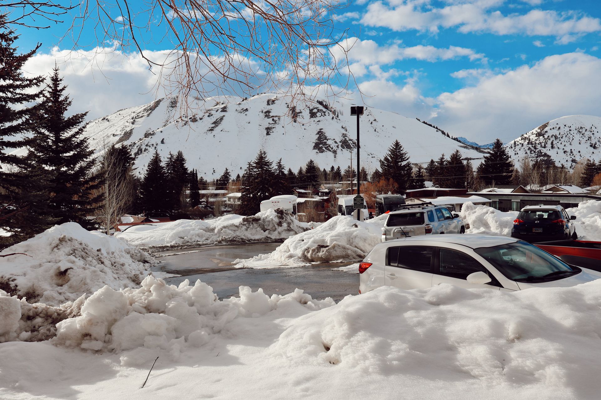 Cody, Cody WY — neighborhood review