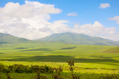 Ngorongoro safari