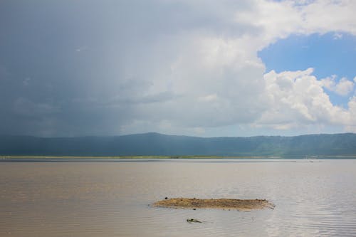 Ngorongoro safari