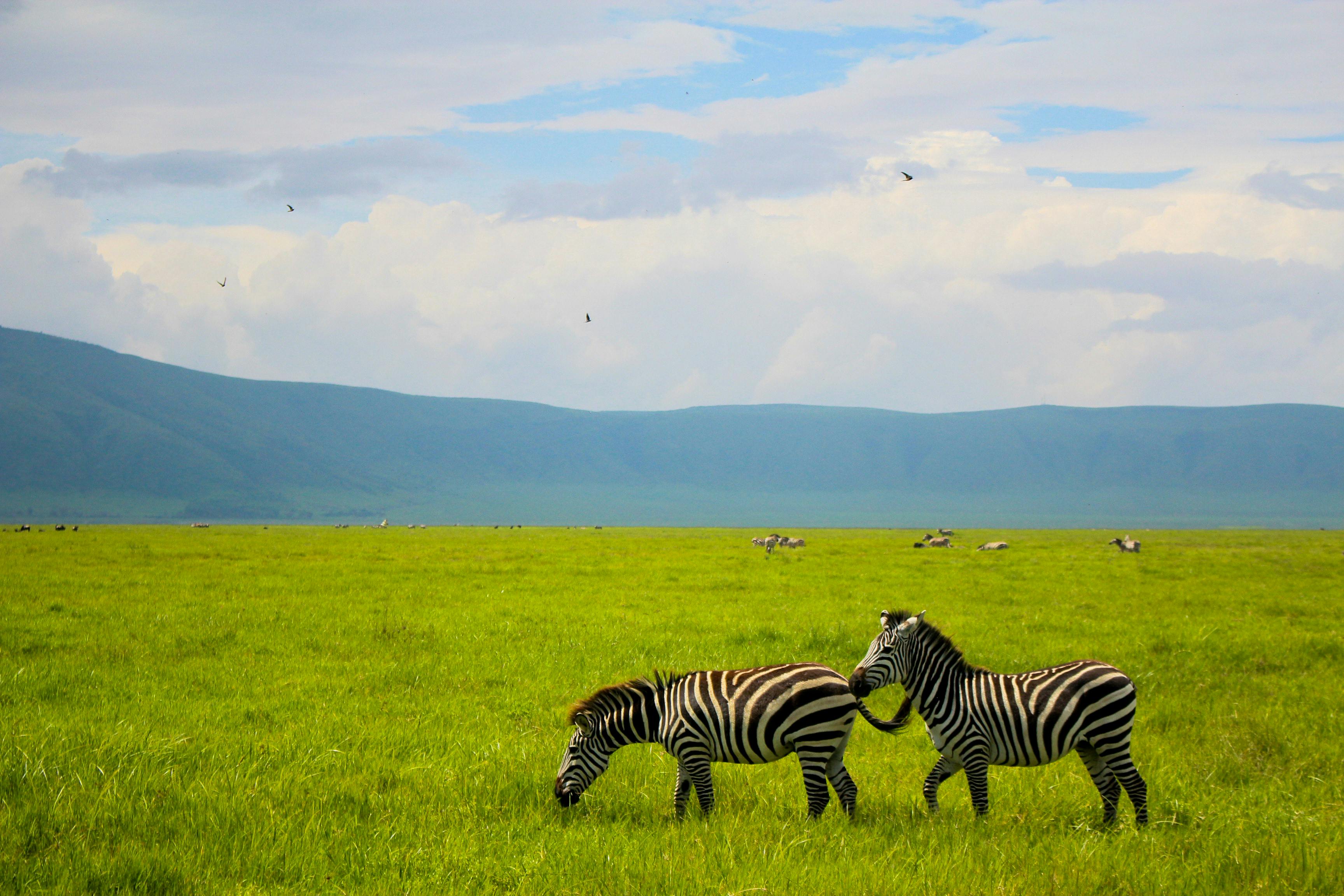 Tanzania Enhances Tourism Sector by Training Over Two Hundred Tour Guides as Brand Ambassadors with Supporting their Growth a
