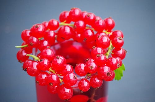 Bayas Rojas Colocadas En Vaso De Vidrio