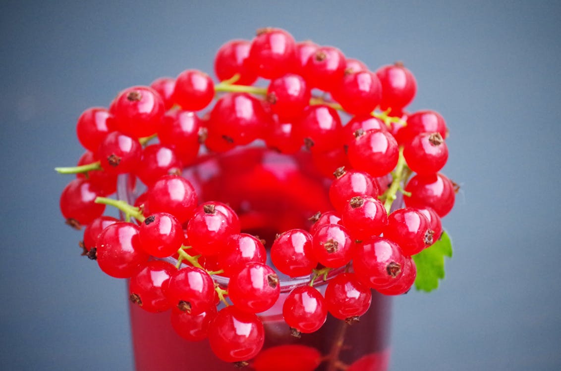 Free Red Berries Placed on Glass Cup Stock Photo