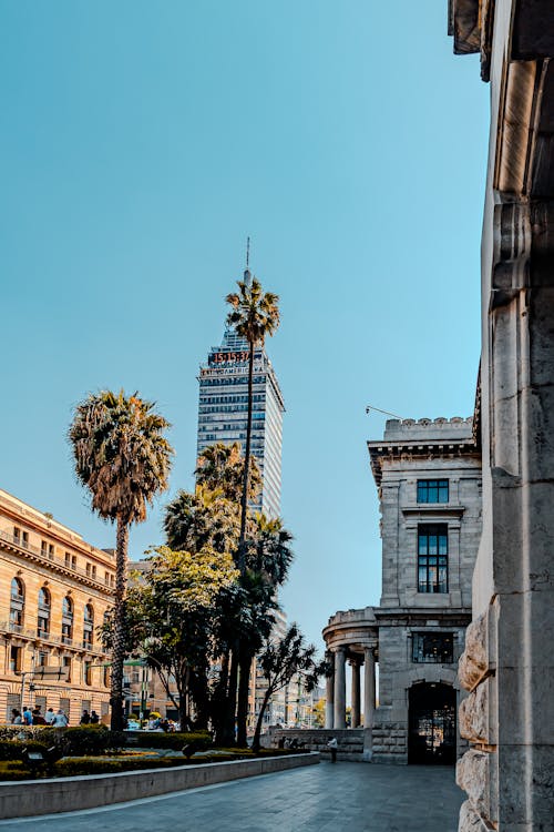 torre latinoamericana, シティ, ダウンタウンの無料の写真素材