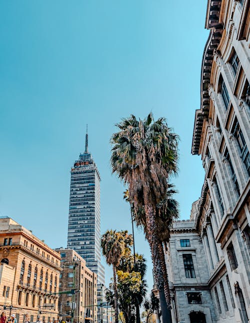 torre latinoamericana, 低角度拍攝, 垂直拍攝 的 免費圖庫相片