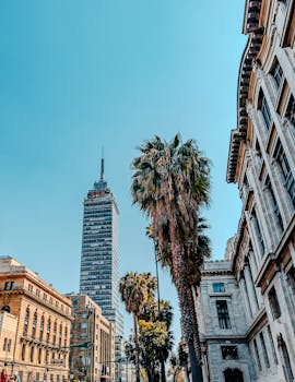 A vibrant view of Mexico City's Torre Latinoamericana with palm trees and historic architecture under a bright blue sky.