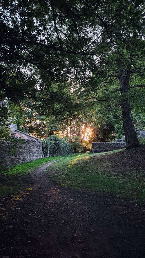 Free Tranquil park scene with a footpath and vibrant greenery, captured during sunset. Stock Photo