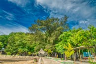 雅加达郁郁葱葱的树木与生机勃勃的蓝天，展现了大自然的美丽