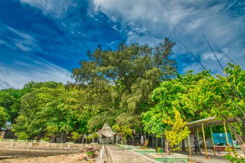 Free A scenic view of lush trees and vibrant blue sky in Jakarta, showcasing nature's beauty. Stock Photo