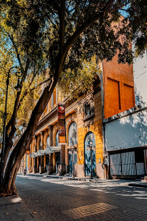 Fotos de stock gratuitas de al aire libre, árbol, arquitectura