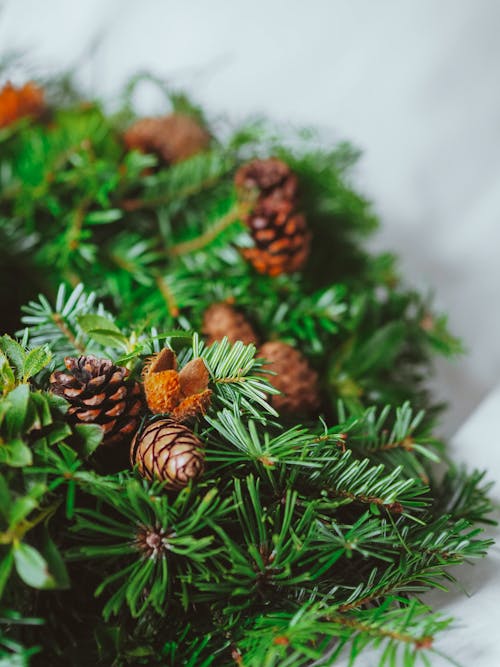 A wreath with pine cones and evergreen leaves