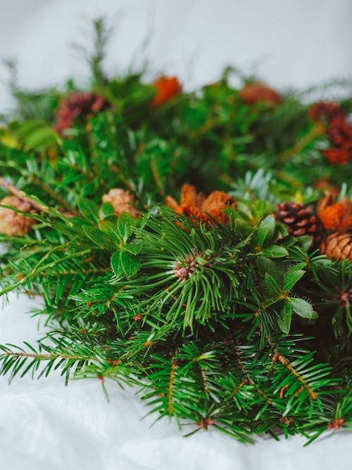 A wreath with pine cones and evergreen leaves