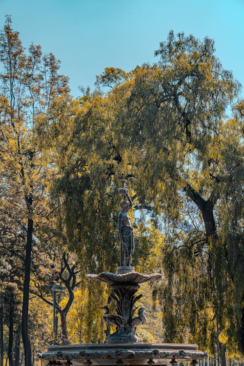 Kostenloses Stock Foto zu bäume, brunnen, dekorativ