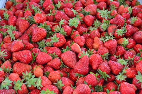 Photos gratuites de délicieux, fraîcheur, fraises
