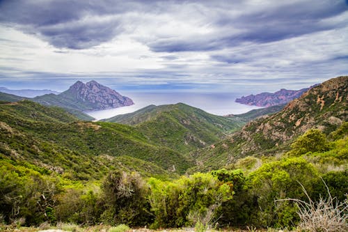 Fotos de stock gratuitas de arboles, bahía, cerros