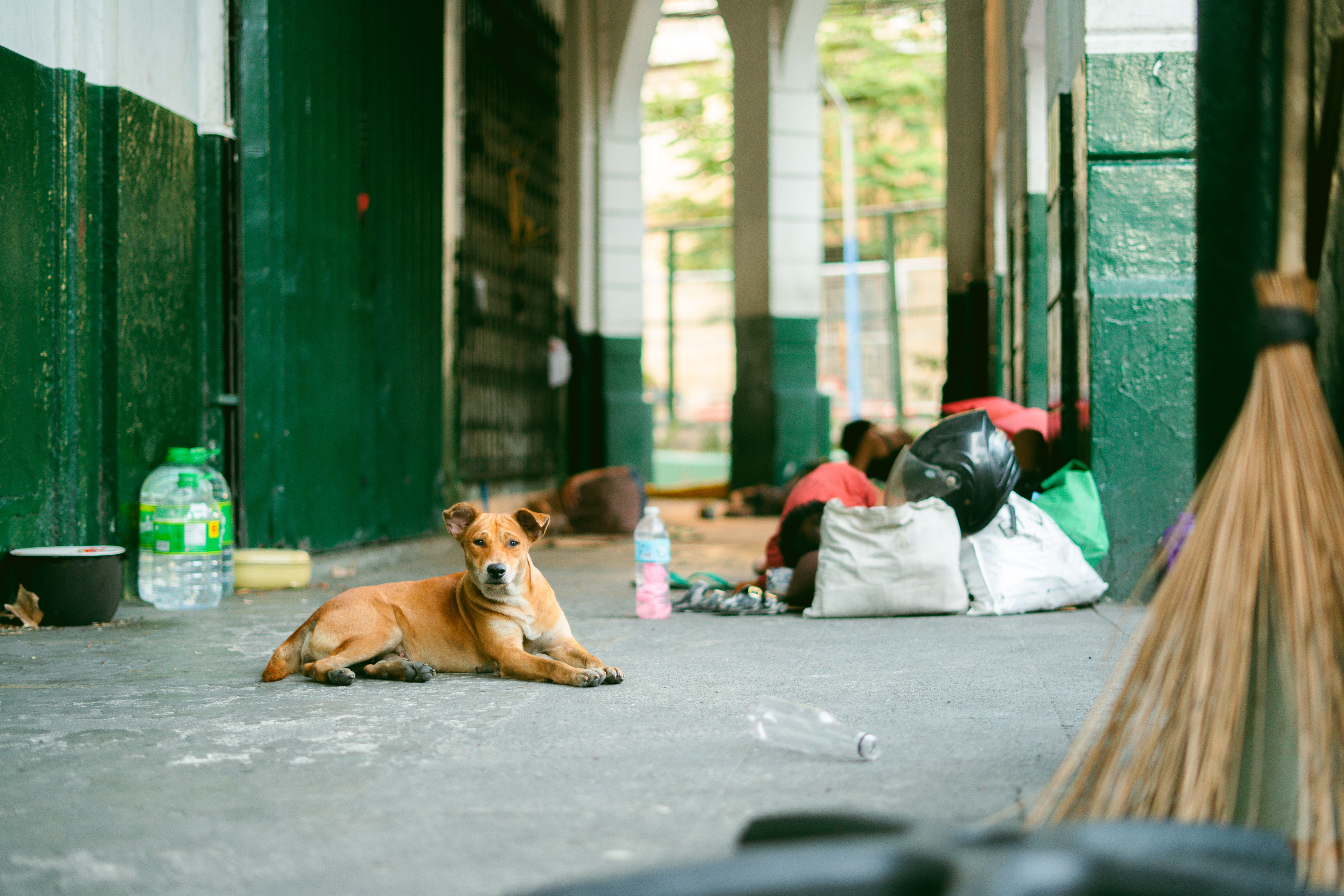 10,000 Displaced and Counting: Who Picked Up the Phone When Manila Called post image