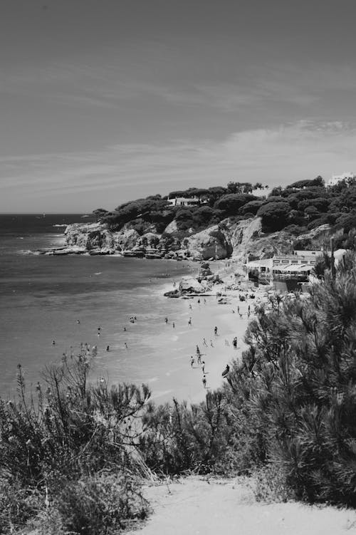 Black and white photo of beach and people