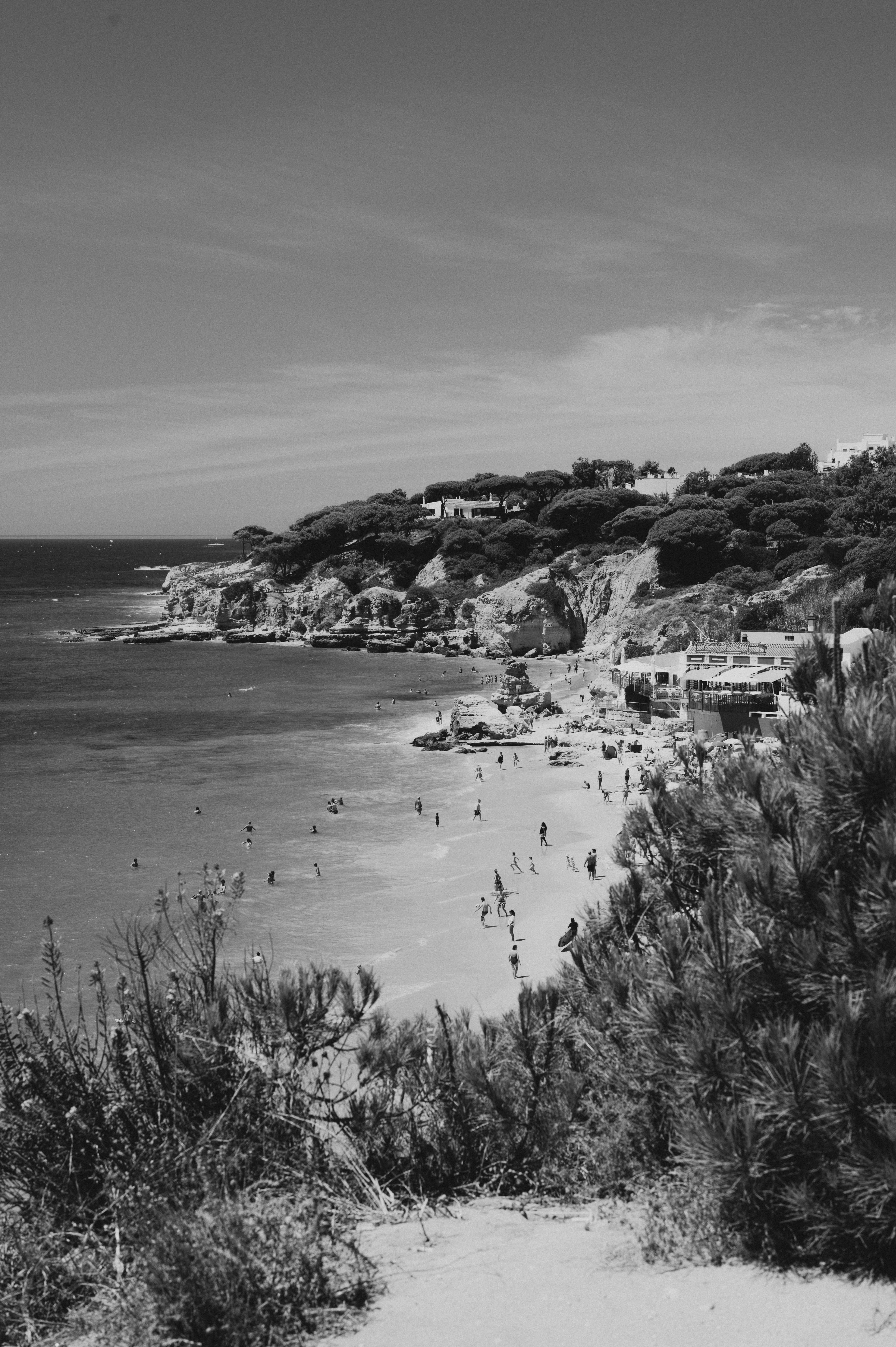 Black And White Photography Of People On A Beach · Free Stock Photo