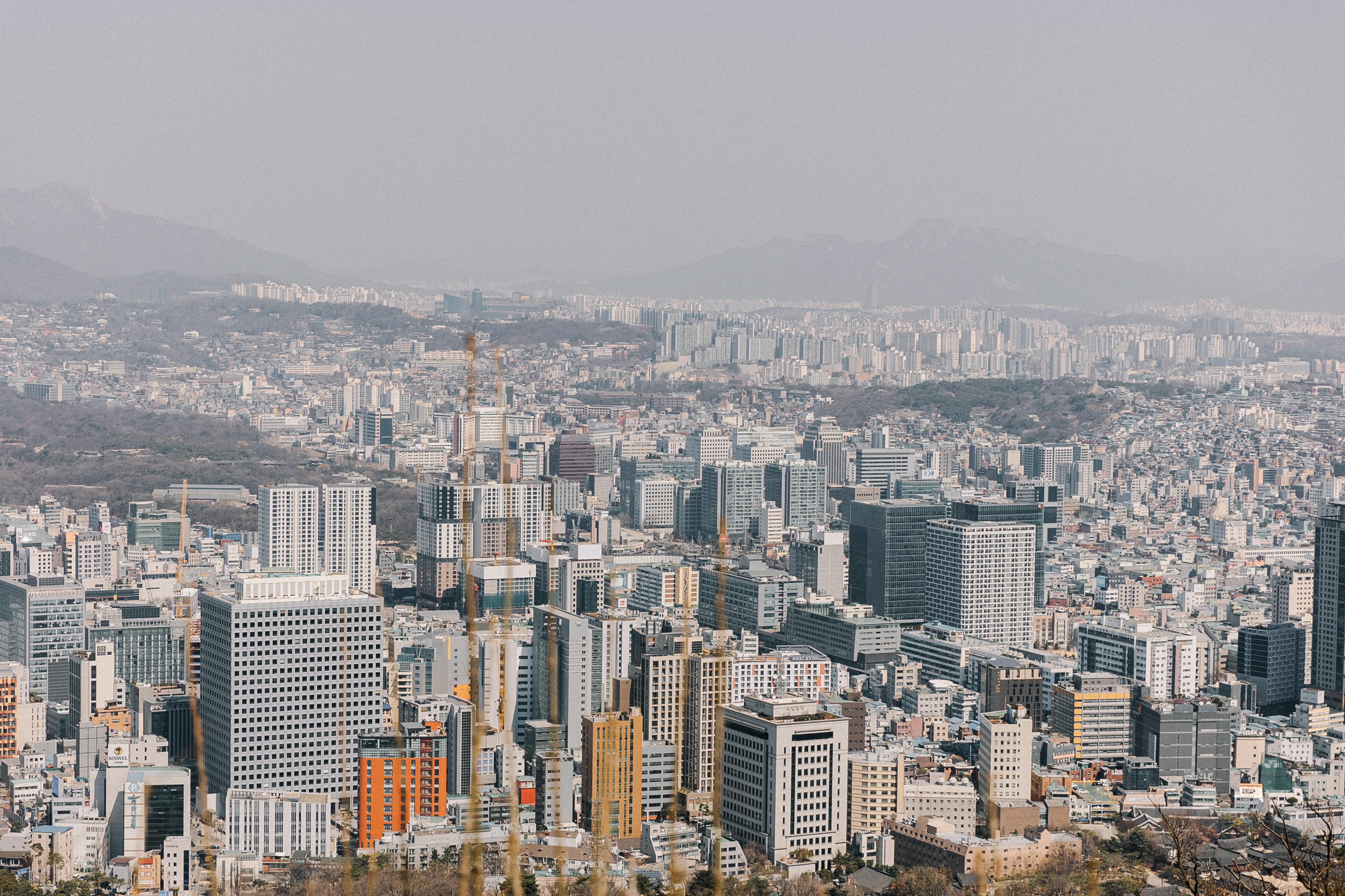 Seoul cosmetic surgery tourism demand — Photo by Elina Volkova on Pexels