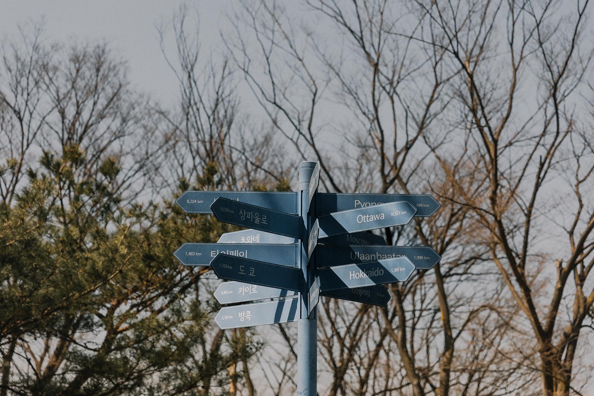 Destination Sign in a Forest