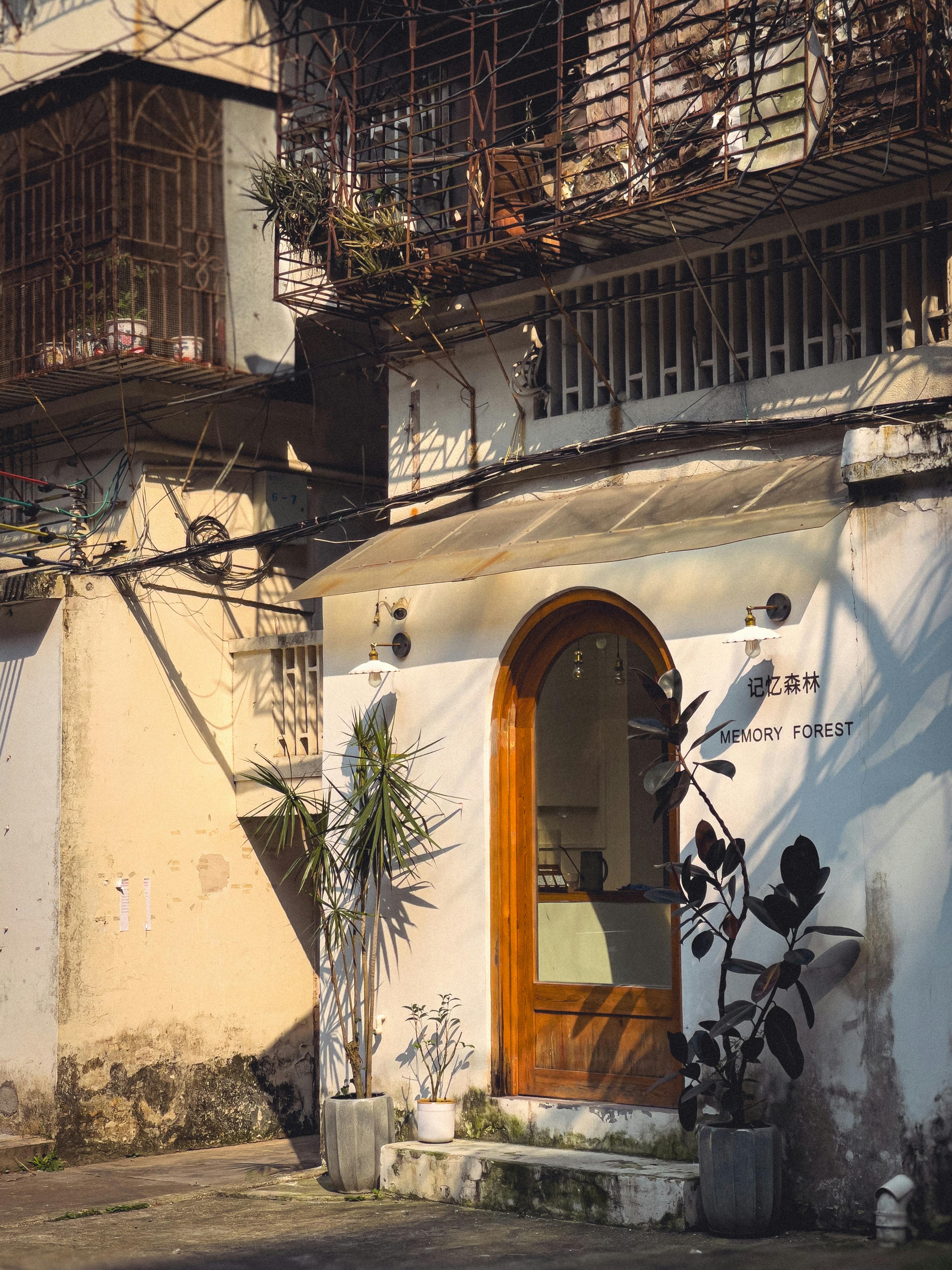 Vintage architectural facade with 'Memory Forest' entrance, capturing sunlight in a nostalgic city corner.