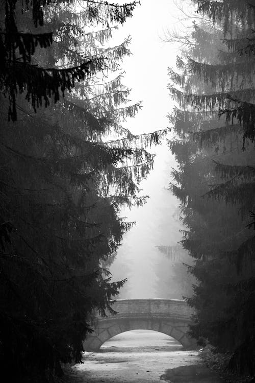 A black and white photo of a bridge in the fog