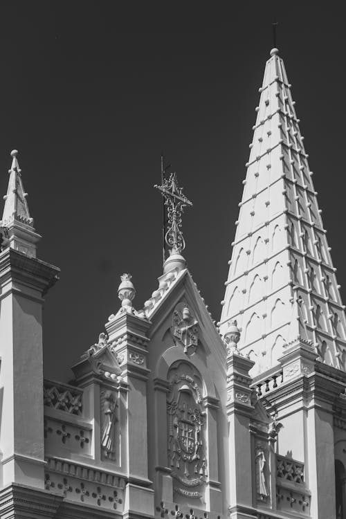 Imagine de stoc gratuită din alb-negru, basilica catedrala santa cruz, biserică