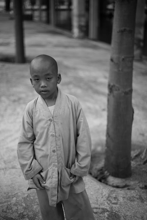 Безкоштовне стокове фото на тему «Азіатський хлопчик, вертикальні постріл, дерево»
