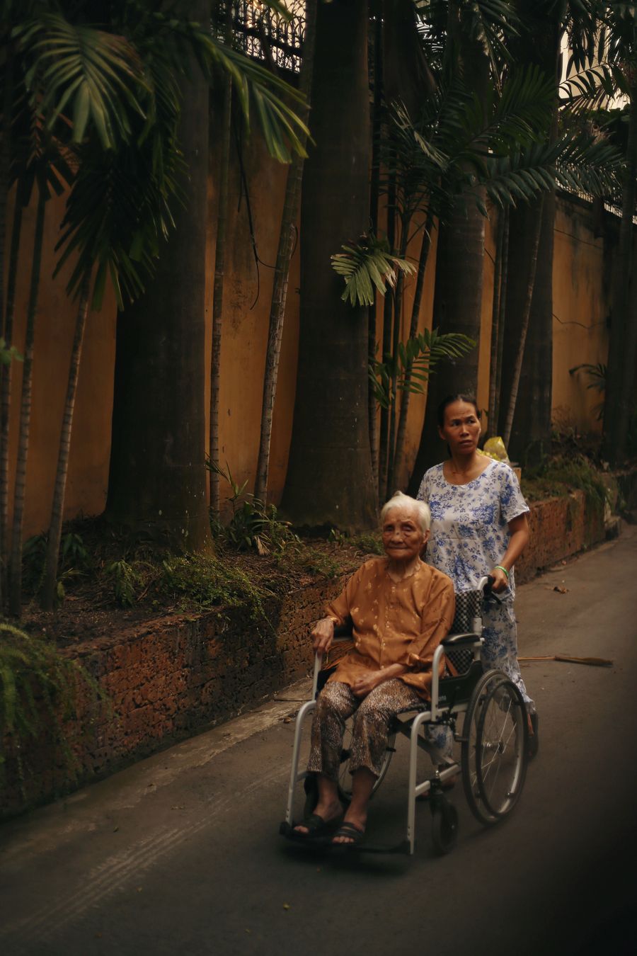 Spaziergang mit Seniorin im Rollstuhl an der frischen Luft