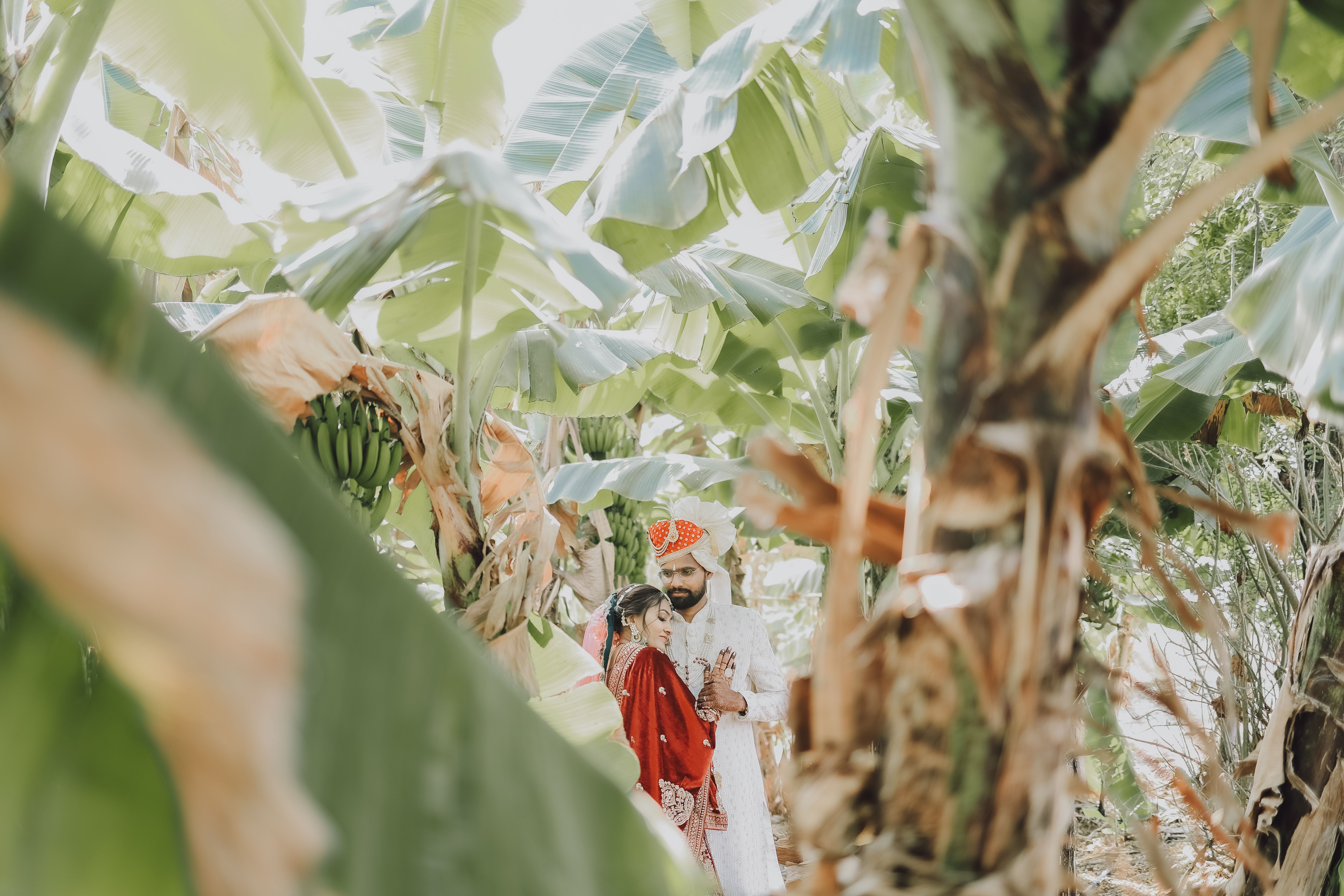 Couple in Traditional Clothes Hugging among Palm Trees · Free Stock Photo