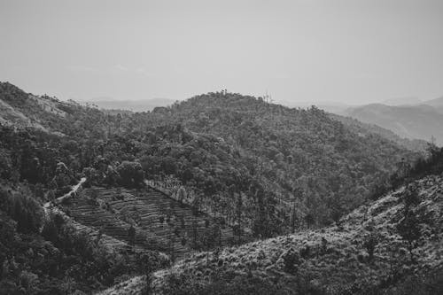 Безкоштовне стокове фото на тему «гори, дерева, Долина»