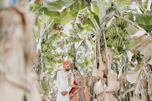 indian Wedding \ Dreamcatcher Foto Indore